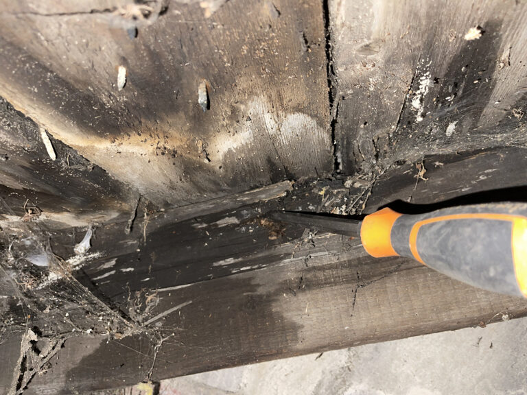wet rot in rafter 768x576