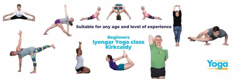 Beginners Yoga at Strive Health Kirkcaldy 768x256