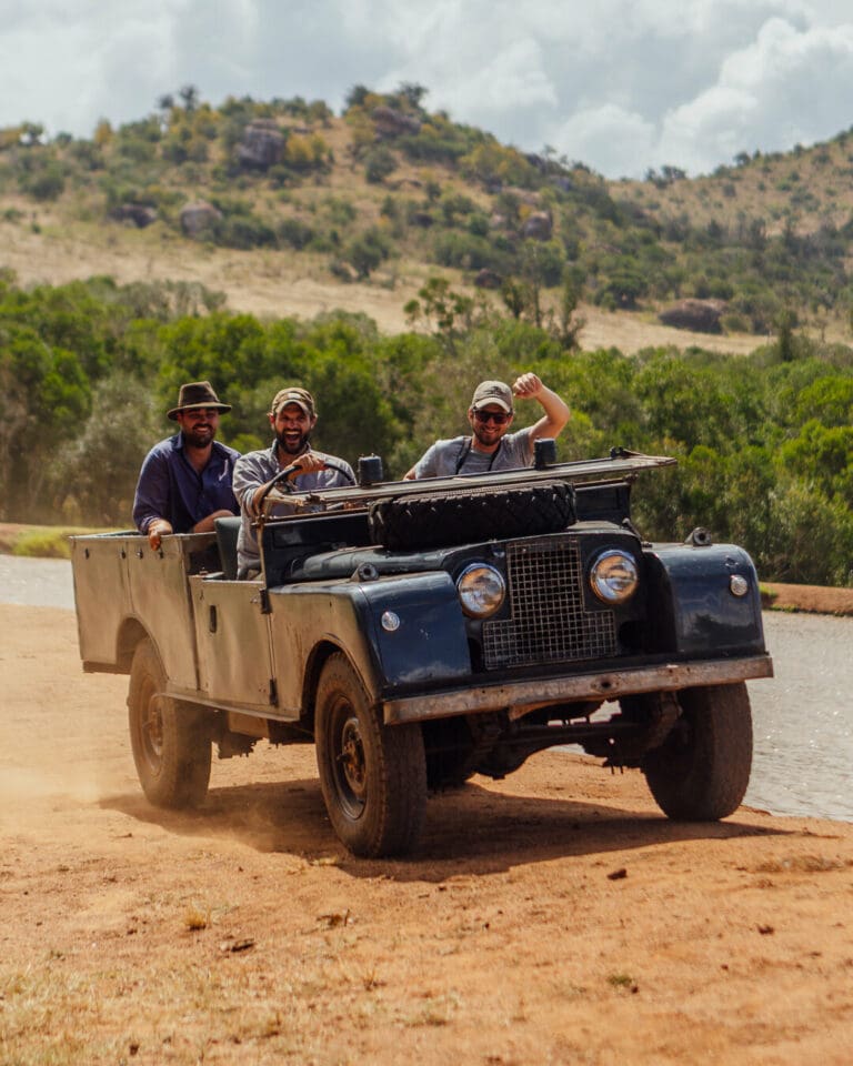 0 SafariSeries 216 768x960