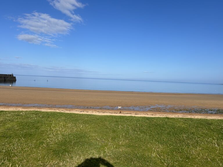 IMG 1579 768x576