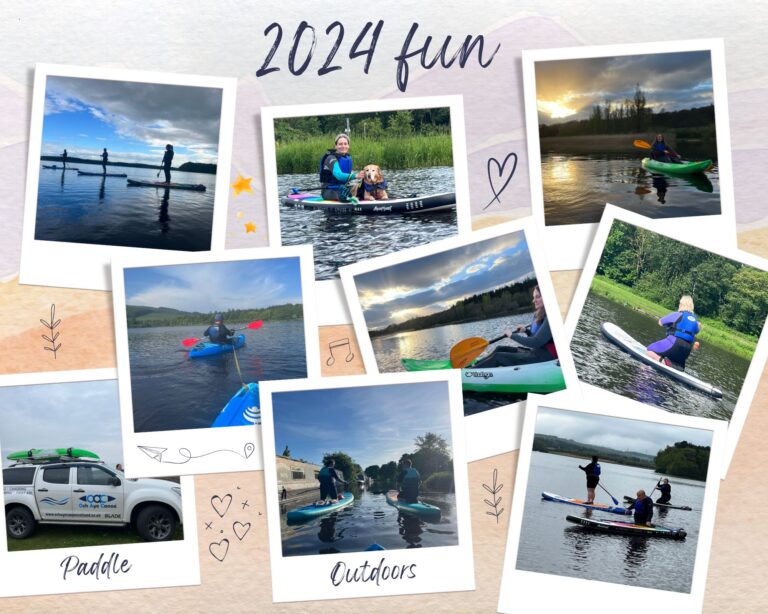 2024 fun 768x614