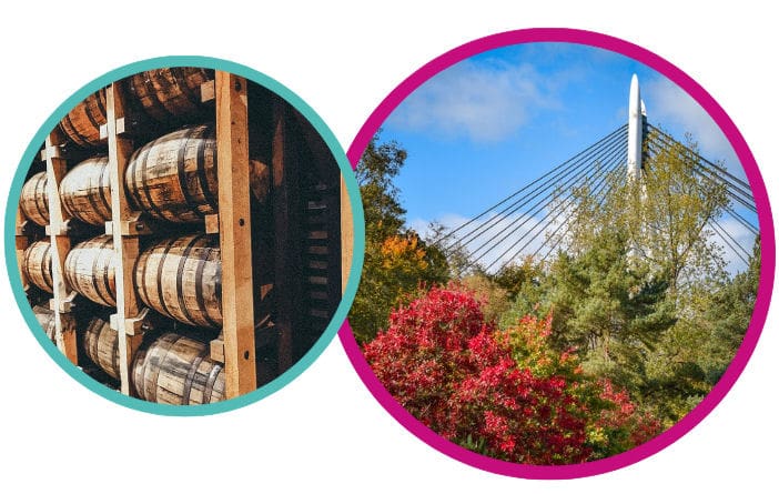A thriving hub for business and innovation