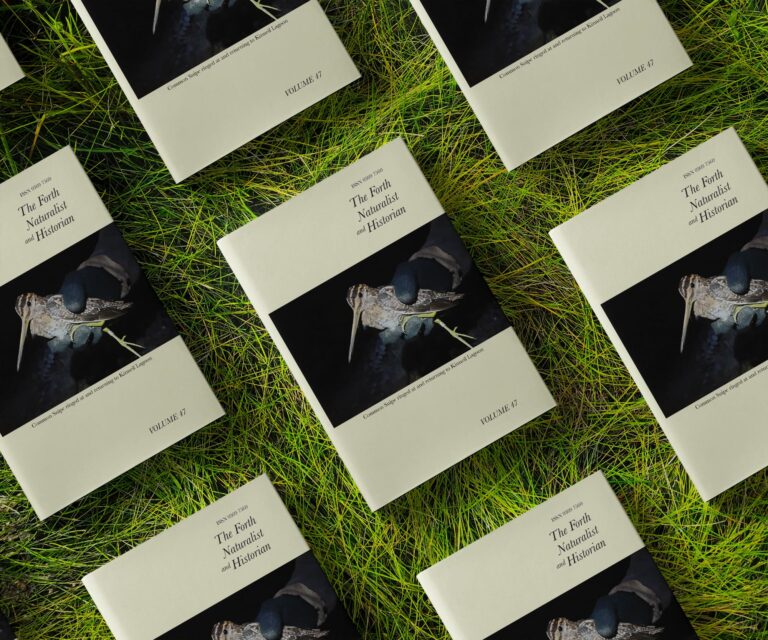 FNH Book Cover  768x640