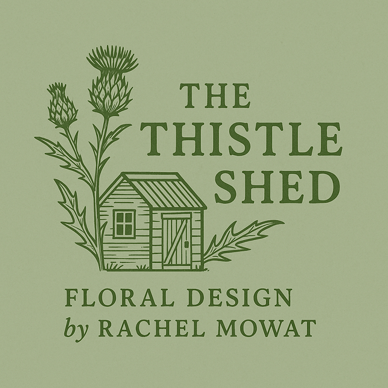 tt shed