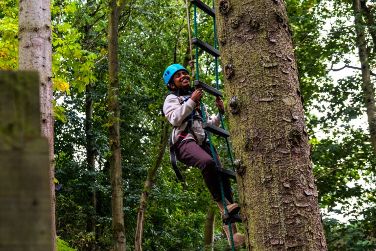 Fodell Firs 4 1 768x512
